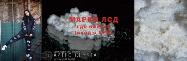 прущие грибы Беломорск