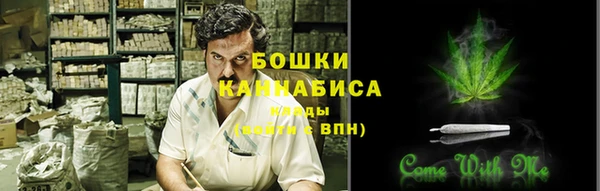 2c-b Белокуриха