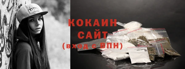 прущие грибы Беломорск