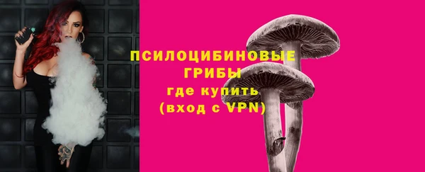 2c-b Белокуриха