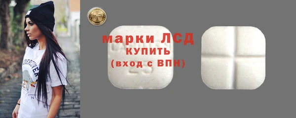 прущие грибы Беломорск