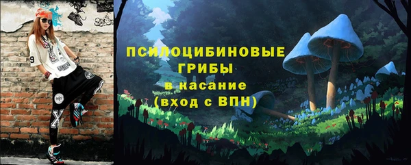 прущие грибы Беломорск