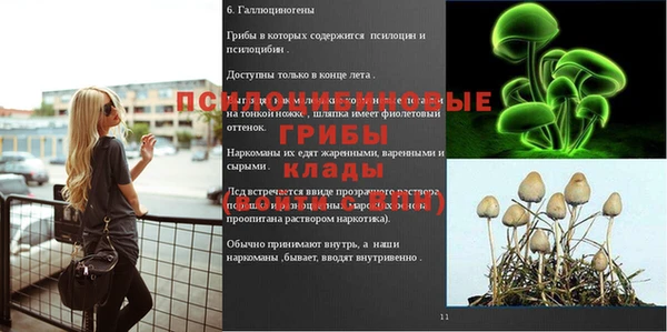 прущие грибы Беломорск